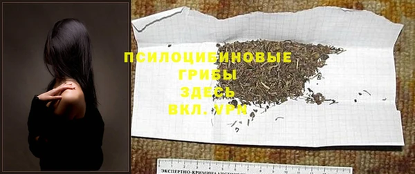 Альфа ПВП Дмитров