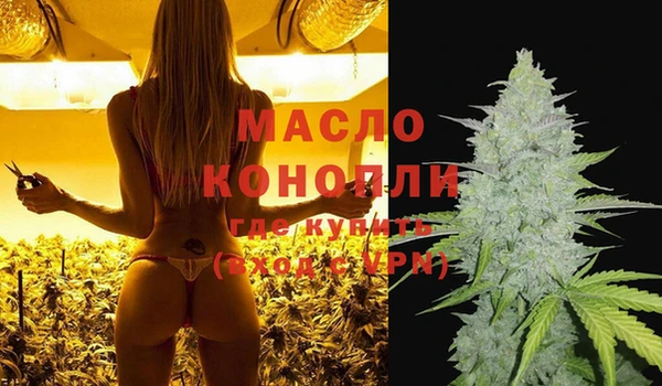 соль ск Дмитриев