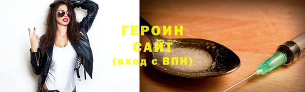 соль ск Дмитриев
