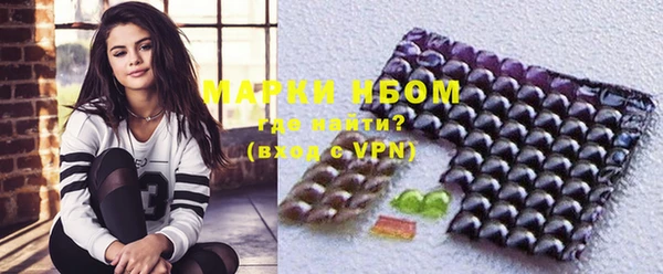 соль ск Дмитриев