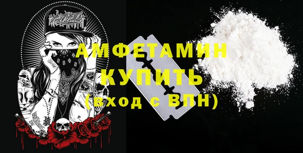 соль ск Дмитриев