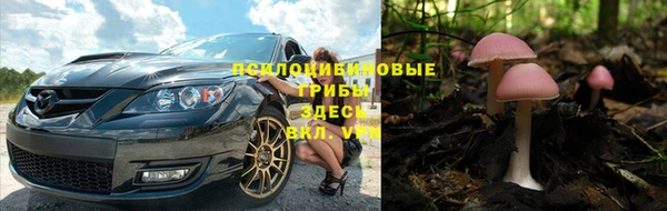 твердый Гусиноозёрск
