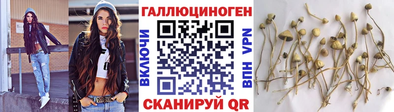 сколько стоит  Сасово  Галлюциногенные грибы ЛСД 